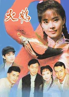 火鹤封面图