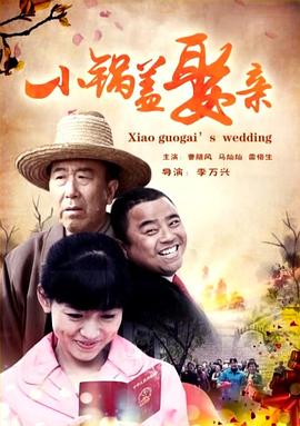 小锅盖娶亲[电影解说]封面图