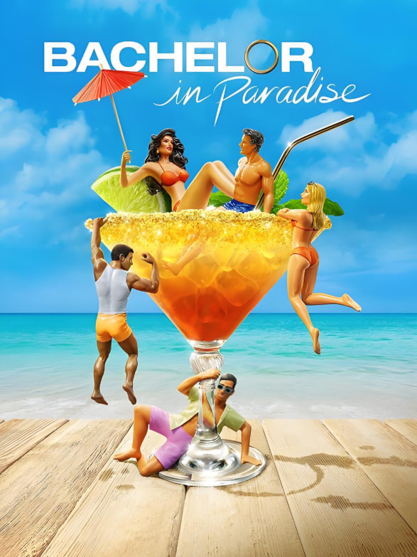 单身天堂 第十季封面图