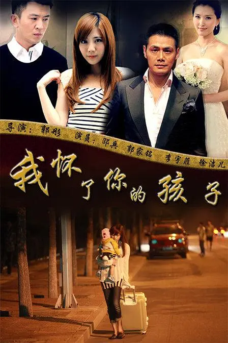 我怀了你的孩子封面图