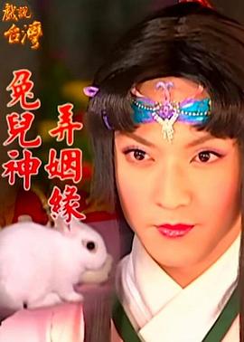 戏说台湾之兔儿神弄姻缘封面图