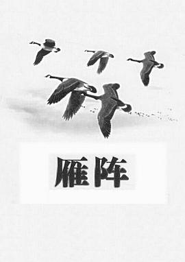 雁阵1991[电影解说]封面图