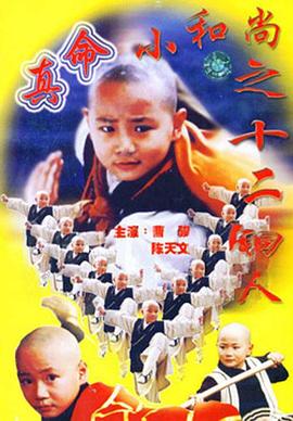 真命小和尚之十二铜人封面图