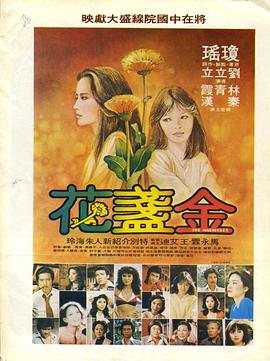 金盏花1980封面图