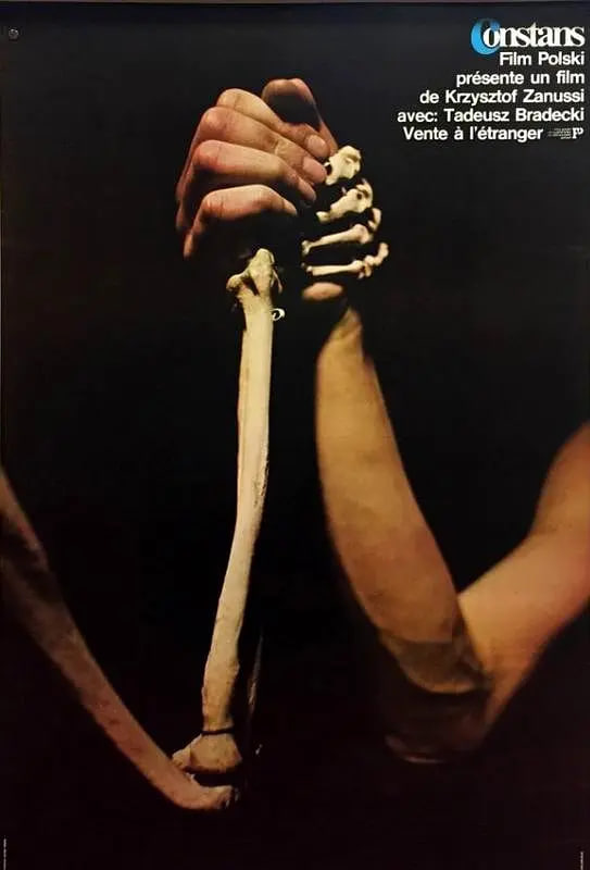 山巅的呼唤封面图