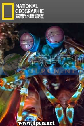 国家地理探险家系列封面图