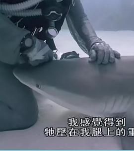 重访蓝色星球封面图