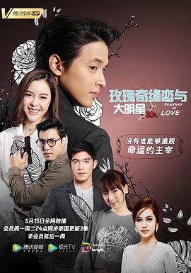 玫瑰奇缘恋与大明星封面图