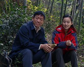 大饼的莎士比亚封面图