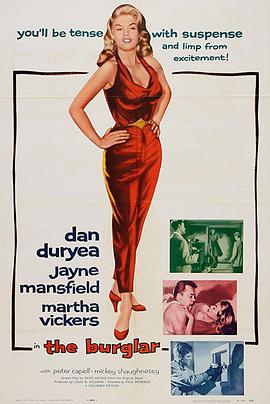 义盗娇娃封面图