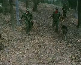 拉尔复仇记封面图