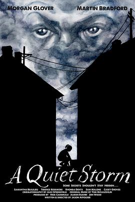 寂靜風暴封面图