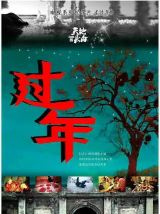 过年第一季封面图