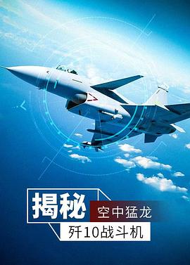 空中猛龙封面图