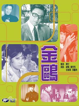 金鸥封面图