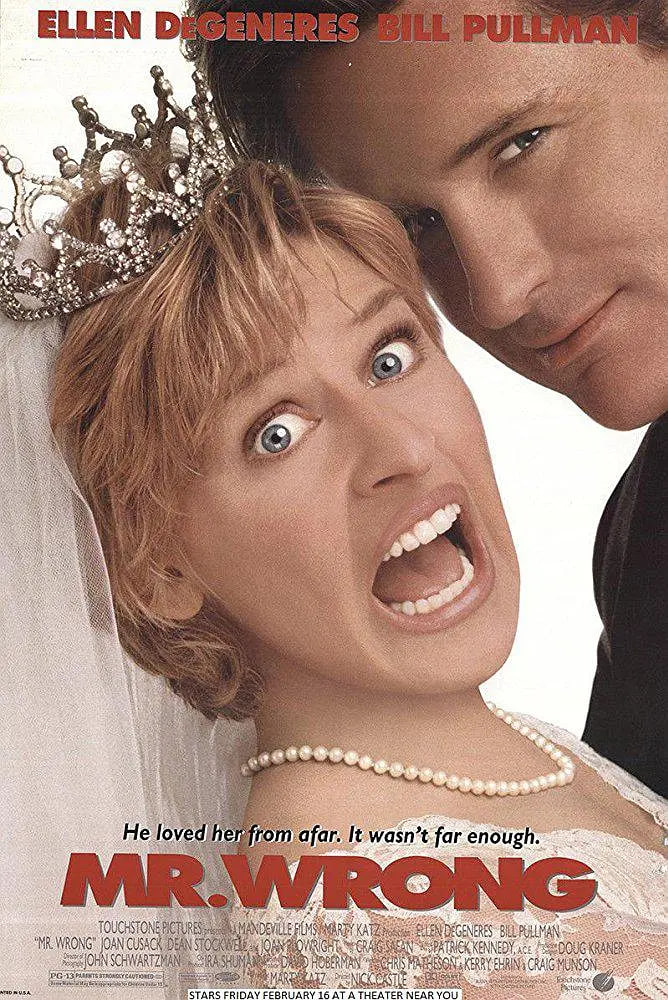 二见钟情之新好男人封面图