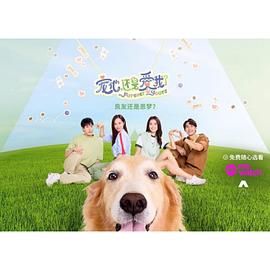 宠他，还是爱我？封面图