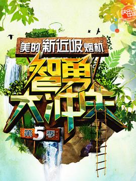 智勇大冲关 第五季封面图