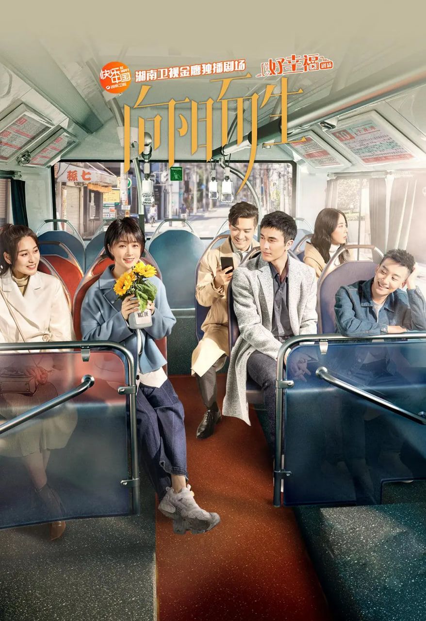 向阳而生封面图