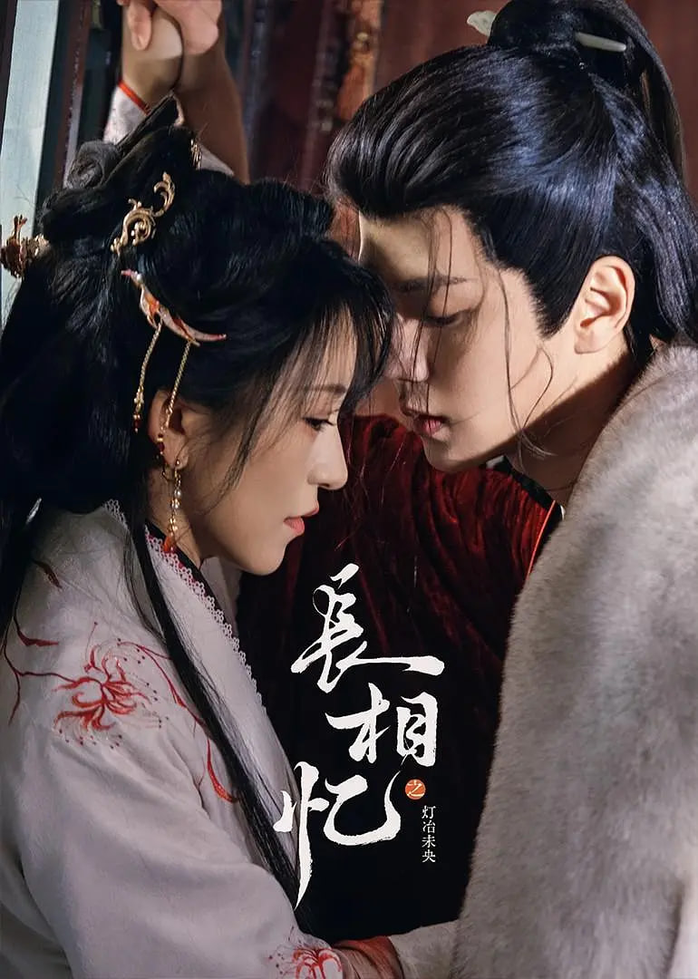 长相忆之灯冶未央封面图