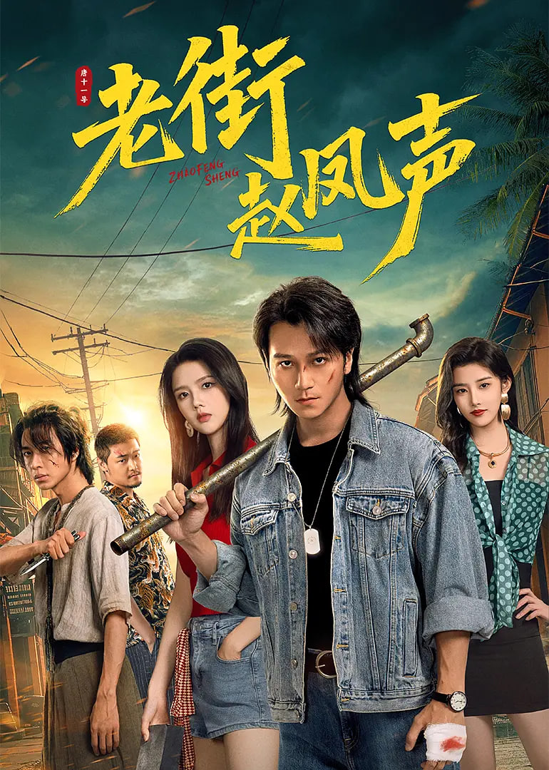 老街赵凤声封面图