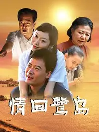 情回鹭岛封面图